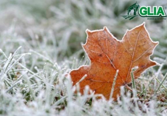 Calendarul lucrarilor agricole in luna Ianuarie