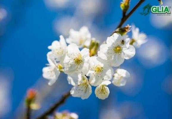 Calendarul lucrarilor agricole in luna Martie