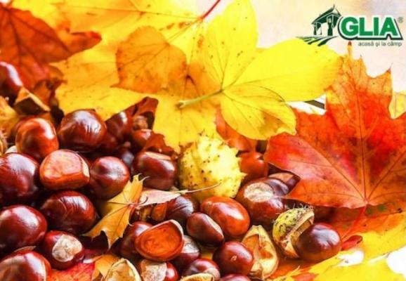 Calendarul lucrarilor agricole in luna Noiembrie