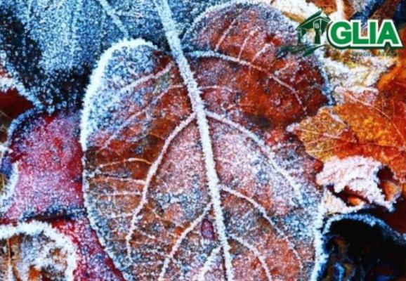 Calendarul lucrarilor agricole in luna Decembrie