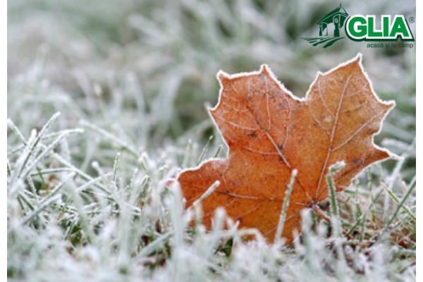 Calendarul lucrarilor agricole in luna Ianuarie