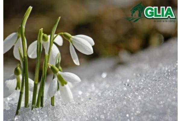Calendarul lucrarilor agricole in luna Februarie