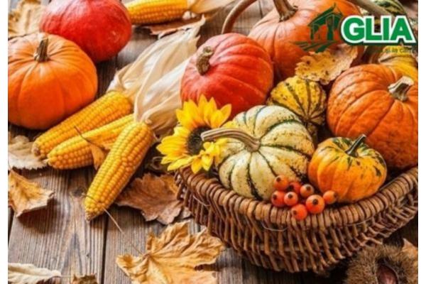 Calendarul lucrarilor agricole in luna Octombrie