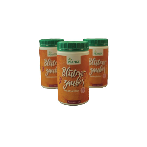 Ingrasamant flori Blutenzauber 1 kg, PLANTA