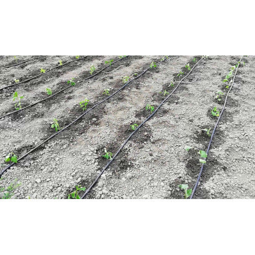 Tub pic DG20 | 6mil | FI16 | 4 litri/h | 100 ml/rola, Irriplastec