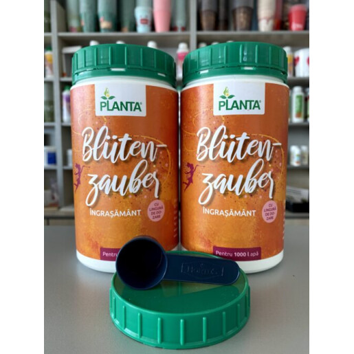 Ingrasamant flori Blutenzauber 1 kg, PLANTA