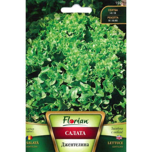  Salata creata GENTELINA 2 gr, Florian