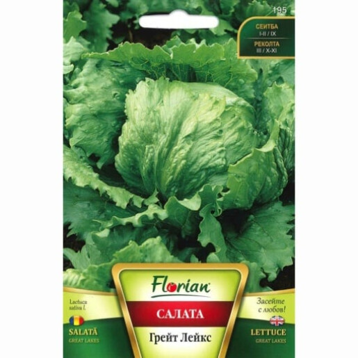 Seminte Salata Great Lakes 2g, Florian
