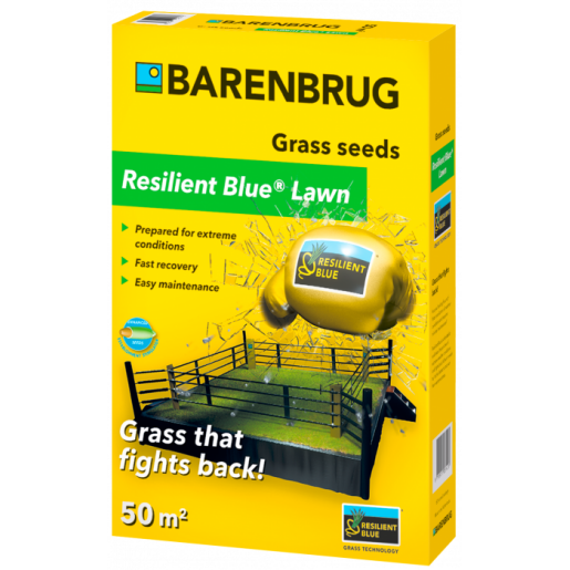 Seminte de Gazon Resilient BLue Lawn, Barenbrug, 1 kg