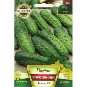 Seminte castraveti cornichon Levina F1, 1 gram, Florian