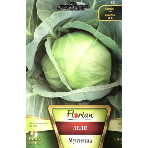 Seminte varza Muntenia 5 gr, Florian