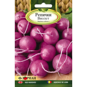 Seminte ridichi violet Malaga 5 gr, FLORIAN