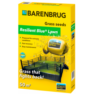 Seminte de Gazon Resilient BLue Lawn, Barenbrug, 1 kg