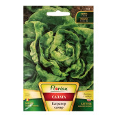 Seminte Salata KAGRANER SOMMER 2g, Florian