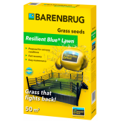 Seminte de Gazon Resilient BLue Lawn, Barenbrug, 1 kg